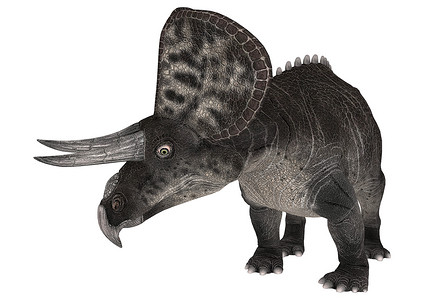 恐龙 Zuniceratops