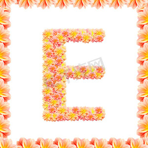 E，用火焰在白色上隔离的花字母表