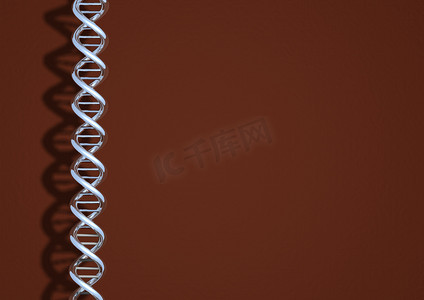 铬DNA