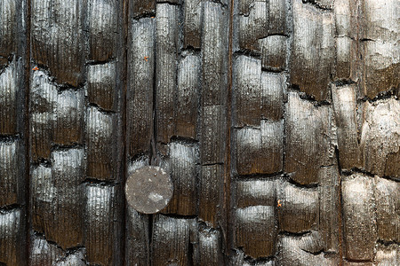 烧过的木头摄影照片_烧焦的木头 栅栏柱 生锈的钉子 烧焦的木材