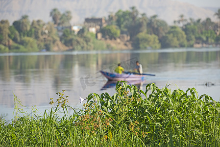 河的传统埃及流浪者渔夫