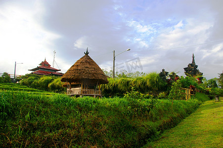 咖啡种植村，巴厘岛