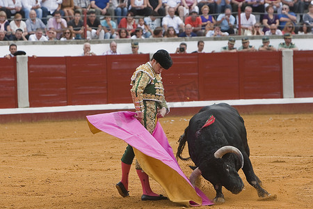 西班牙节日摄影照片_西班牙斗牛士 Julian Lopez El Juli 2011 年 9 月 23 日在西班牙科尔多瓦省 Pozoblanco 的斗牛场用拐杖斗牛
