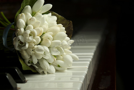躺在钢琴键盘上的雪花莲花束