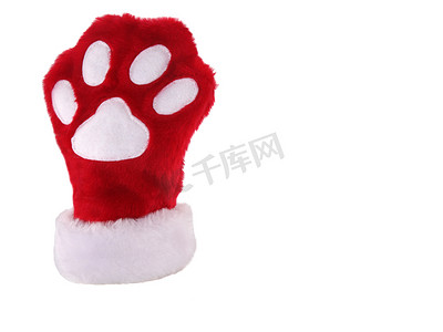 圣诞猫狗摄影照片_圣诞爪子袜 2