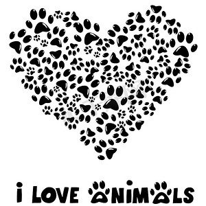 我爱动物卡