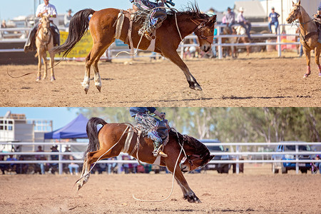 Cowboy 和 Bucking Saddle 野马拼贴画