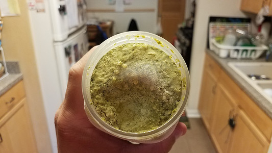 厨房里拿着加冰的绿色香蒜酱容器