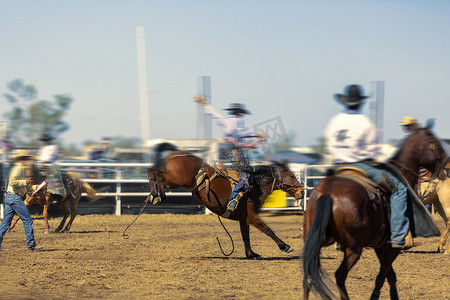 奔腾的蒙古马摄影照片_牛仔骑着一匹奔腾的野马