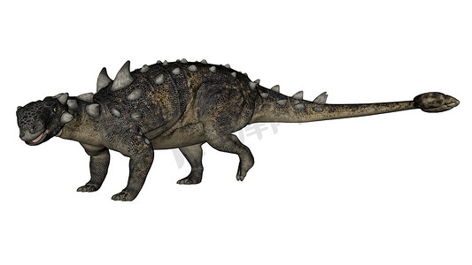 Euoplocephalus 恐龙 - 3D 渲染
