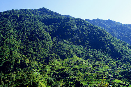 cam摄影照片_美丽的喜马拉雅森林景观，徒步前往 Annapurna Base Cam