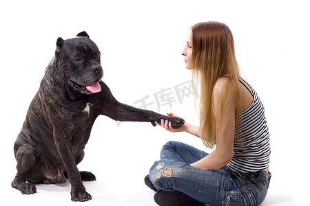 她教她的狗 Cane Corso 团队给爪子