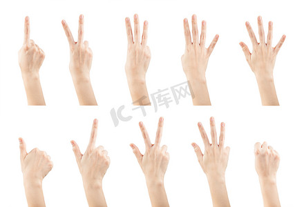 人类手臂摄影照片_设置制作数字的女性手势