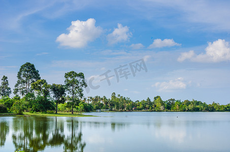 绿色的池塘摄影照片_春天的池塘