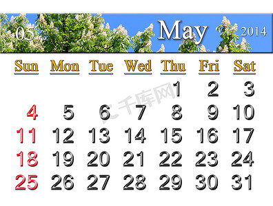 2014 年 5 月的日历与栗子冠