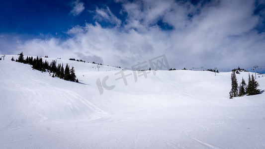 高山树摄影照片_高山雪原