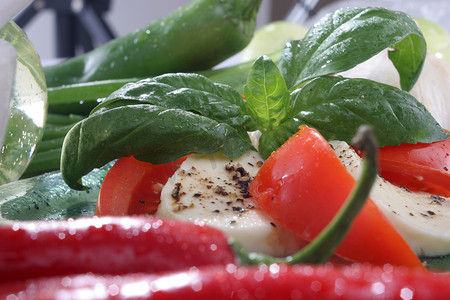 青西红柿摄影照片_西红柿配马苏里拉奶酪。