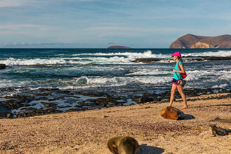 加拉帕戈斯群岛的旅游野生动物自然摄影师在加拉帕戈斯群岛海狮和海鬣蜥的海滩上散步，在加拉帕戈斯群岛冒险旅行度假，埃加斯港（埃加斯港）圣地亚哥岛厄瓜多尔
