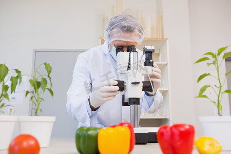 看通过显微镜的食品科学家