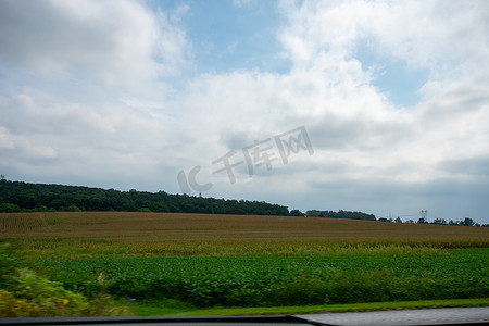 从车里望出去，广阔的田野里满是新鲜的农作物在飞翔
