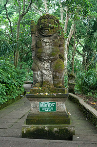 Padangtegal 猴子森林，印度尼西亚巴厘岛乌布著名的旅游胜地