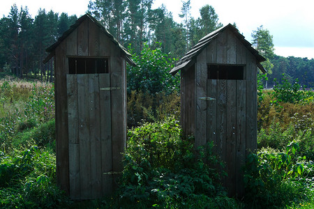 站在绿色沼泽中的风化木厕所