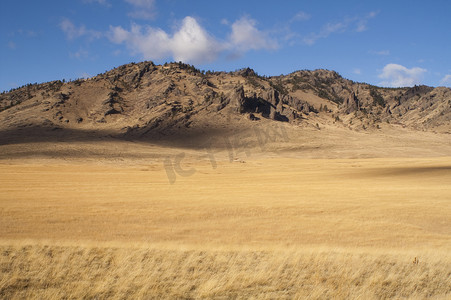 美丽的风景 Western United States Idaho Grass Land