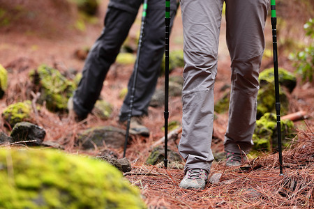 徒步旅行 — 徒步旅行者拿着棍子在森林里行走