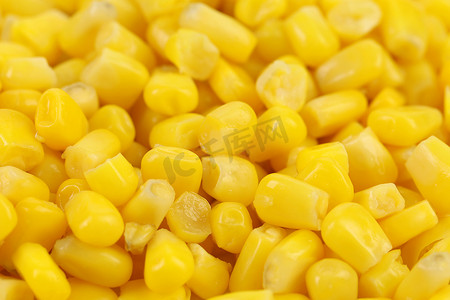 印地安玉米背景。