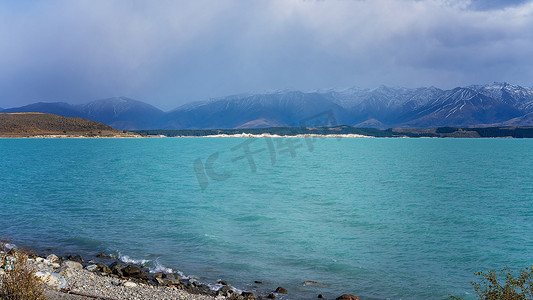 新西兰普卡基湖的黄玉蓝水和雪山