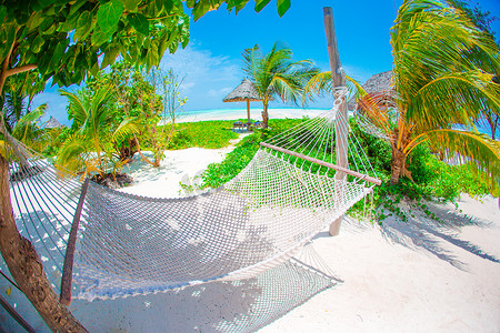 阳光明媚的夏日，热带天堂椰子树下的浪漫舒适吊床