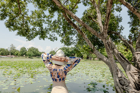 女人的背侧在湖中的荷花池中放松，睡莲
