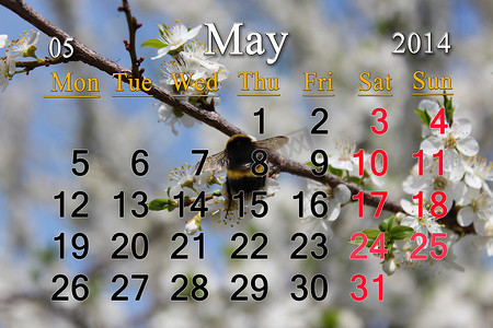 5月份摄影照片_2014 年 5 月的日历