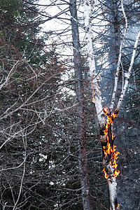 闪电磁吸特效摄影照片_闪电过后桦树着火