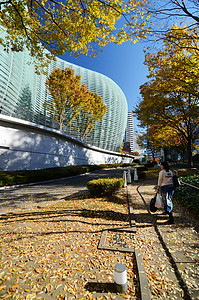 日本东京 — 2013 年 11 月 23 日：人们参观东京国家艺术中心
