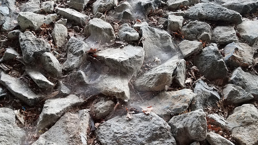 有蜘蛛网的灰色岩石或石头或巨石