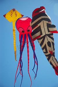 庞岸达兰国际风筝节