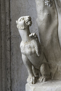 赤裸的阿波罗内雕像和一只猫，意大利罗马