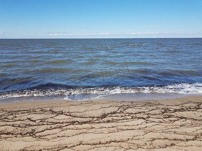 沙滩上的海藻与沙子和水
