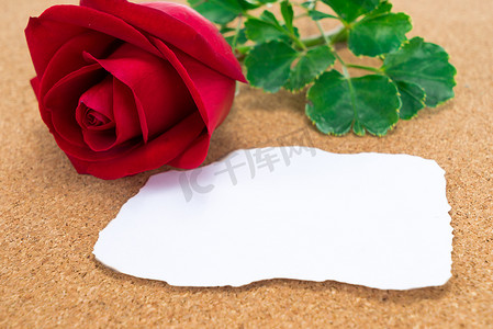 单朵红玫瑰，边缘有烧焦的纸，在软木塞上