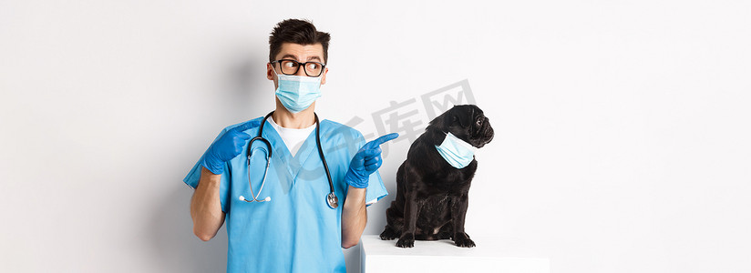 黑促销摄影照片_戴面罩的可爱黑哈巴狗向左看着促销横幅，而兽医诊所的医生指指点点，站在白色背景上