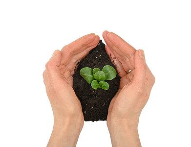 女手握着绿色植物发芽的堆土