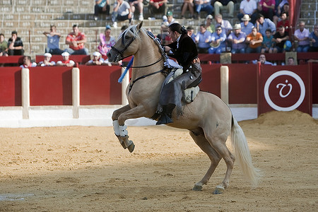 Noelia Mota，骑马的西班牙女斗牛士，2011 年 9 月 29 日，西班牙安达卢西亚哈恩省乌贝达