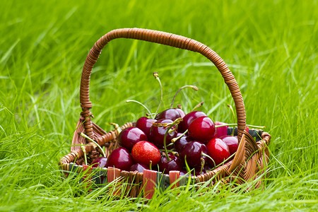 夏天草地上篮子里的樱桃