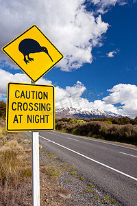 猕猴桃横穿路标和火山 Ruapehu NZ