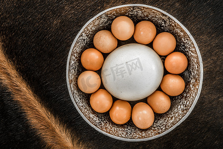 面包师 十几个鸡蛋，包括一个鸵鸟蛋。