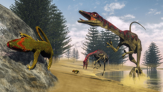 方解石摄影照片_Compsognathus 恐龙-3d 渲染