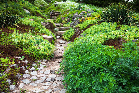 楼梯石摄影照片_绿色花园中的石路和楼梯