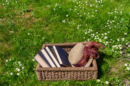 惊悚小说摄影照片_草坪上装满书籍和复古帽子的柳条篮