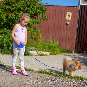 牵着狗带散步的小女孩